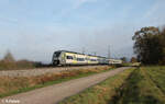 1462 204-6 + 1462 210 als RE50 63068 Plattling - Nürnberg bei Pölling. 26.10.24