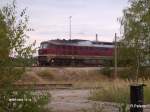 Mein Einziges Bild von 242 001-6 im Reichsbahnkleid,Werksbahnhof Ziltendorf 27.09.06
