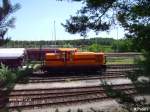 Die Bume als Rhamen fr Lok 58 im Werksbahnhof Ziltendorf. 20.06.07