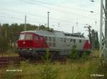 241 001-6 wartet in Eisenhttenstadt auf weiterfahrt nach Guben.13.08.07