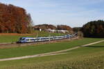 430 017 und 430 013 auf dem Weg nach Mnchen am 31. Oktober 2025 bei Axdorf.