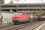 BR 6193 321 D-DB mit KLV-Zug durch HH-Harburg Richtung Maschen. 9.Oktober 2025
