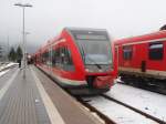 Zwei VT 646 als Sonderzug Brilon Wald - Korbach in Willingen. 07.02.2009