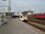 ET 5.23 der eurobahn als RB 89 nach Warburg (Westf.) bei der Ausfahrt aus Mnster (Westf.) Hbf. 12.04.2009