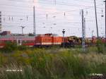 LOCON 201 versteckt sich im Bahnhofs-Vorfeld von Eisenhttenstadt. 25.08.07