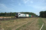 6193 139-3 „Italienpiercer“ zieht mit einem Containerzug durch die Netztrennstelle Main Bischofsheim. 01.09.24