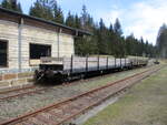 Zwei Res,am 05.April 2025,mitten im Thringer Wald im Bahnhof Rennsteig.