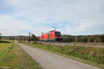 249 013 Lz bei Pölling auf dem Weg nach Regensburg. 17.10.24