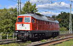 Salzland Rail Service GmbH, Bernburg (Saale) mit der von LOK-OST Lokführerdienstleistungen Olof Stille gemieteten  232 903-5  [NVR-Nummer: 92 80 1232 903-5 D-OST] am 08.09.25 Höhe Bahnhof Magdeburg-Neustadt.
