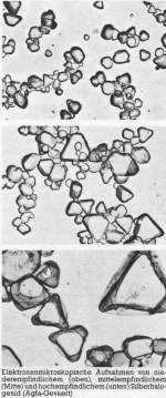 KORN vs. Krnigkeit: Abbildung zu  Korn  aus  Photographische Enzyklopdie  Urs Tillmanns, 1982. ISBN 3-7231-1700-7