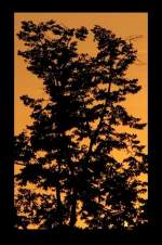 Foto Bernhard J., Schnittvariante IIa zur Demonstration. Kleine aber bedeutende nderung des Formats.