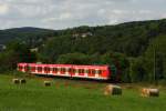 Eine S-Bahn zwischen Wiesen und Heuballen 