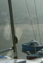 Spinnennetze, Taubenetzt sind nicht sehr problematisch zu fotografieren;
in Lindau aber, am spten Nachmittag, wenn der Ochse kommt ist das Tau weg...
Aber vielleicht regnet es ja mal.
(Valle de Joux am einem Augustmorgen 2009)