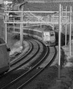 Farbig oder S/W - Welche Variante wirkt besser?