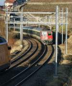 Farbig oder S/W - Welche Variante wirkt besser?