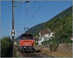 Auf dem letzten verblieben (kurzen) Einspurabschnitt zwischen Ligerz und Twann der Strecke 210 (Lausanne - Biel/Bienne) ist die SBB  Eem 923 024-4 (Hybridlok BUTLER) mit einem Güterzug auf dem Weg in Richtung Biel Bienne. 

Das auf die auf die ...
