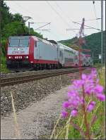 Lok 4019 mit Dostos durch die Blume fotografiert am 06.07.08 (Jeanny)