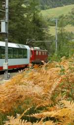 Herbstliche Glacier-Express Impression bei Filisur 
(Sept 2009)