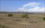 Trockenes Land ausserhalb der Hauptstadt Asmara. (26.10.2008)