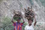 Nicht nur Kamele schleppen Holz, auch Kinder sind entlang der Eisenbahntrassee mit Brennholz unterwegs. (28.10.2008)