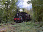 Im Elsässer Ried mit der CFTR.

030 TB 134  Theodor  im Wald bei Biesheim. September 2024.