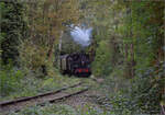 Im Elsässer Ried mit der CFTR.

030 TB 134  Theodor  im Wald bei Biesheim. September 2024.
