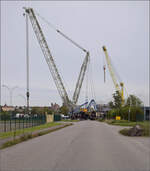Im Elssser Ried mit der CFTR.

030 TB 134  Theodor  am Rheinhafen Neu-Breisach/Colmar. Nur halbwegs rechtzeitig angekommen, stand berraschend der riesige Verladekran im Hafen, so wurde aus dem Bild mit Mnster ein Bild mit Kran-Monster. Volgelsheim, September 2024