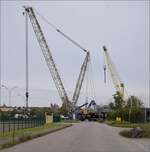 Im Elssser Ried mit der CFTR.

030 TB 134  Theodor  am Rheinhafen Neu-Breisach/Colmar. Nur halbwegs rechtzeitig angekommen, stand berraschend der riesige Verladekran im Hafen, so wurde aus dem Bild mit Mnster ein Bild mit Kran-Monster. Volgelsheim, September 2024