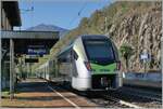 Seit dem Fahrplanwechsel 2023/2024 halten die RE 1 auch in Preglia, was mir als Bahnfotograf die Zu- und Abfahrt ungemein erleichtert, auch wenn ich an diesem Tage mit dem Bus nach Preglia gefahren bin. Ich hoffe natürlich, dass auch genügend Reisende hier aus- und einsteigen, um den Halt zu rechtfertigen. 

Der BLS RABe 528 109 ist als RE1 4261 auf der Fahrt von Bern nach Domodossola und konnte beim Halt in Preglia fotografiert werden. 

31. Okt. 2024