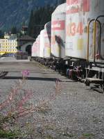 Zementwagen und Pflanzen in Arosa. Was meint Ihr dazu? Kritik, Bearbeitungsvorschlge (Foto ist unbearbeitet)?