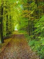 Der unendlich lange Weg von Bayern