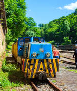 Die 700 mm Schmalspur-Grubendiesellok Batiruhr 10 „Albert“, eine Batiruhr 26.110 BED 15, der Museumsgrubenbahn Minièresbunn (Minièresbunn Doihl-Rodange a.s.b.l) am 16 Juni 2013 mit einem Personenzug im Industrie- und Eisenbahnpark Fond-de-Gras.

Neben der Museumsbahn „Train 1900“ endet von der anderen Seite hier die Grubenbahn „Minièresbunn“. Die Umladestation Fond-de-Gras wurde früher durch eine Grubenbahn mit Eisenerz aus dem angrenzenden Bergwerk versorgt. Diese verkehrte auf einem 700 mm Schmalspurnetz, das heute noch größtenteils erhalten ist oder bereits restauriert wurde. Seit den 1990er-Jahren dient die Strecke dem Betrieb der Museumsbahn Minièresbunn (Minièresbunn Doihl-Rodange a.s.b.l), die Fond-de-Gras mit dem französischen Dorf Saulnes verbindet. Die Fahrt auf der fast 4 km langen Strecke ist in mehrere Etappen unterteilt.

Grubenbahn  Minièresbunn  ist eine kleine Zeitreise durch die Galerien des Fond-de-Gras. Die Grubenbahn entführt einen auf eine fesselnde Reise zwischen Fond-de-Gras und Lasauvage. Man erlebt die Geschichte des Eisenerzabbaus, während man von der beeindruckenden  Minièresbunn  auf einer nostalgischen Schmalspurbahn durch die Landschaft befördert wird.

Die Information zur Lok:
Diese Lok war eher für den Übertageverkehr, meist lief die Lokomotive in Doppeltraktion mit einer ihrer Schwestern, dafür waren sie mit einer pressluftbetriebenen Vielfachsteuerung ausgerüstet. Diese Lok war auf der Strecke von der Eisenerz-Grube Saulnes-Sud nach Longlaville im Einsatz und hatte ursprünglich eine Spurweite von 740 mm. Die Strecke der Minièresbunn nach Saulnes benutzt das Gleisbett dieser Strecke (jedoch in der Spurweite 700 mm) bis zum Pont des Vauziers in Saulnes.

Aus der Joint-Venture zwischen der deutschen Ruhrthaler-Maschinenfabrik (Mülheim an der Ruhr) und der französischen LBC - Batignolles-Châtillon (Nantes) entstand 1959 Firma Batiruhr (Batignolles-Ruhrthaler) mit Firmensitz in Paris gegründet, die das Grubenlokomotiven-Geschäft übernimmt.

So wurde die Lok vom Typ Batiruhr 26.110 BED 15 im Jahr 1959 gebaut und an die Grube Saulnes-Sud geliefert. Von diesem Loktype wurden nur drei Maschinen gebaut, sie alle an die Grube Saulnes-Sud gingen, ein Exemplar überlebte (dieses hier). 1989 konnte die Lok vom Service des sites et monuments erworben werden und wurde so vor der Verschrottung gerettet. Mit Hilfe des Amts für Denkmalpflege konnte die Lokomotive wieder funktionsfähig restauriert werden. In diesem Zuge wurde sie auch auf 700 mm Spurweite umgespurt.

Die Lok hat einen 6-Zylinder-Reihendieselmotor von Hispano-Suiza / Bugatti dieser treibt ein Voith DIWABUS-Getriebe an. Das Differentialwandlergetriebe (DIWABUS) ist ein hydromechanisches vollautomatisch schaltbares Getriebe, das vor allem bei Stadtomnibussen und Verbrennungstriebwagen bei geringerer Belastung verwendet wird. Mit ihm werden die Vorteile des hydraulischen Getriebes für den Anfahrbereich und des mechanischen Getriebes für den Dauerfahrbereich vereinigt, indem man ein Differential mit einem Strömungswandler kombiniert. 

Das Getriebe treibt eine hinten liegende Blindwelle an, die über Kurbeln, Treib- und Kuppelstangen beide Achsen antreibt. Da diese Loks meist in Doppeltraktion liefen, waren sie mit einer pressluftbetriebenen Vielfachsteuerung ausgerüstet.

TECHNISCHE DATEN:
Hersteller: Batignolles – Châtillon - Ruhrthaler (Batiruhr, Paris)
Typ: 26.110 BED 15
Spurweite; 700 mm (urspr. 740 mm)
Achsfolge: B
Länge über Puffer: 5.530 mm (4.766 mm ohne Lokrahmen)
Achsabstand: 1.400 mm
Gewicht: 15 t
Leistung: 96 kW (130 PS)
