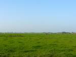 Polder bei Leiden 07-10-2007.