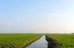 Polder bei Leiden 2007.
