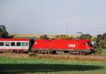 Blutrot sah der 1016 009-1 im Abendlicht des 07.10.09 aus! Aufgenommen am EC Klagenfurt-Mnchen-Frankfurt, auf der Strecke Augsburg-Ulm, kurz vor Mindelaltheim.