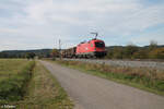 1016 003 zieht mit einem gemischten Güterzug nach Passau bei Pölling vorbei. 17.10.24