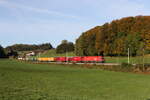 1116 096 war am 12. Oktober 2024 mit einem gemischten Gterzug bei Axdorf in Richtung Salzburg unterwegs.