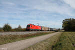 1116 163-5 zieht mit einem gemischten Gterzug bei Plling in Richtung Nrnberg. 17.10.24