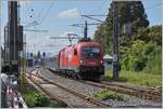 Die ÖBB 1116 098 rangiert mit ihrem RJ im Bahnhof von Bregenz. 

15. Sept. 2024