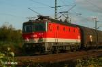 1144 237 zieht ein leeren Autozug durch Obertraubling. 13.09.07