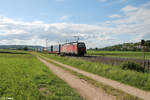 1293 092 zieht kurz vor Treuchtlingen mit einem LKW-Walter gen Süden. 28.05.24