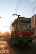 16.08.2008 Ballonglhen Elbauenpark 1244+1245+2103 vor der Haltestelle City Car HBF 