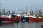 Farbenprchtige Fischkutter im Hafen von Mallaig. (09.08.2008)