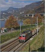 Die SBB Re 4/4 II 11243 (Re 420 243-8 ) 'Smile' erreicht mit ihrem Güterzug Villeneuve.

14. November 2024