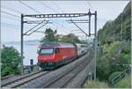 Kurz nach Villeneve in der Nähe des Château de Chillon ist eine SBB Re 460 mit ihrem IR 90 auf der Fahrt von Brig nach Genève Aéroport. 

28 Mai 2025