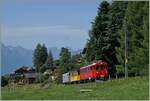 Ein kleiner Zug auf grosser Fahrt: Der RhB Bernina Bahn ABe 4/4 I N° 35 der Blonay Chamby Bahn ist mit dem Bernina Bahn As2 und dem MOB B4 N° 61 (beide auch Blonay-Chamby) als  Valrose Nostalgie Express  kurz vor Les Avants auf der Fahrt von Montreux nach Rougemont. Im Gegensatz zum vorangegangenen Bild ist hier der Zug das Hauptmotiv.

15. Juni 2025