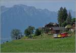 Ein kleiner Zug auf grosser Fahrt: Der RhB Bernina Bahn ABe 4/4 I N° 35 der Blonay Chamby Bahn ist mit dem Bernina Bahn As2 und dem MOB B4 N° 61 (beide auch Blonay-Chamby) als  Valrose Nostalgie Express  kurz vor Les Avants auf der Fahrt von Montreux nach Rougemont. Diese Bildvariante zeigt bewusst sehr viel Landschaft und nur einen sehr kleinen Zug.

15. Juni 2025