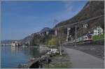 Ein SBB RABe 511 ist als RE 33 beim Château de Chillon auf dem Weg von Annemasse nach St-Maurice. 

3. April 2025