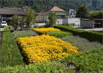 Direkt beim Bahnsteig 1 in Meiringen zeigen sich diese eindrucksvollen Blumenrabatte. August 2025.
