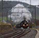 TKp 16 'Śląsk' in Halloweenverkleidung auf dem Weg nach St-Sulpice. Travers, Oktober 2025.